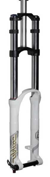 Rock Shox Domain Doble Pletina